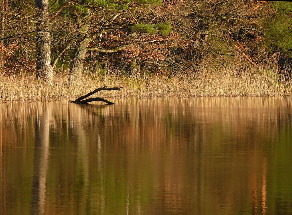 Blick Zum Maimont Ludwigswinkel Exterior foto