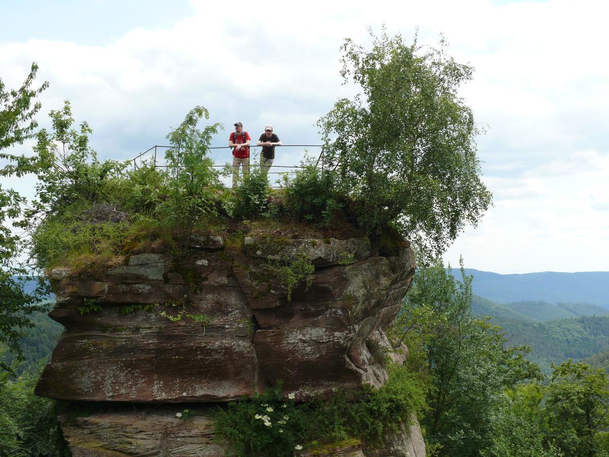 Blick Zum Maimont Ludwigswinkel Exterior foto