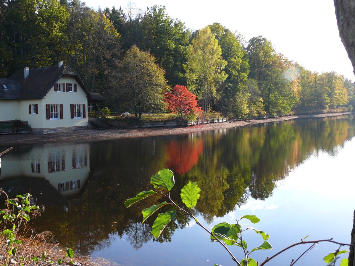 Blick Zum Maimont Hotel Ludwigswinkel Exterior foto