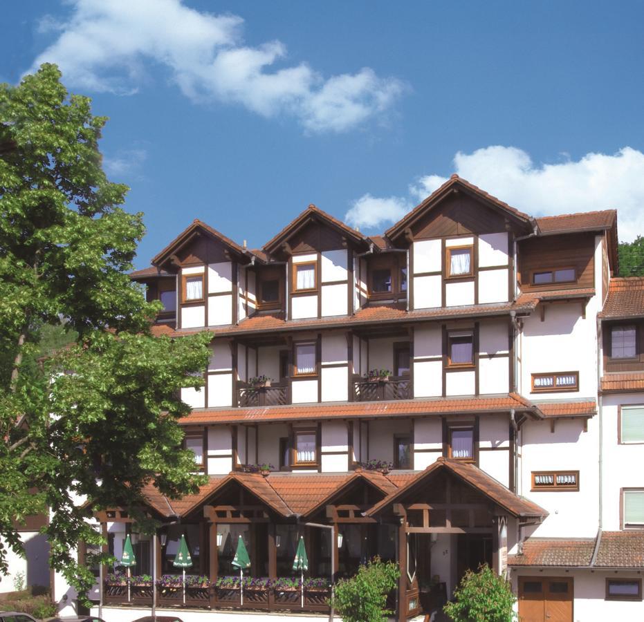 Blick Zum Maimont Ludwigswinkel Exterior foto